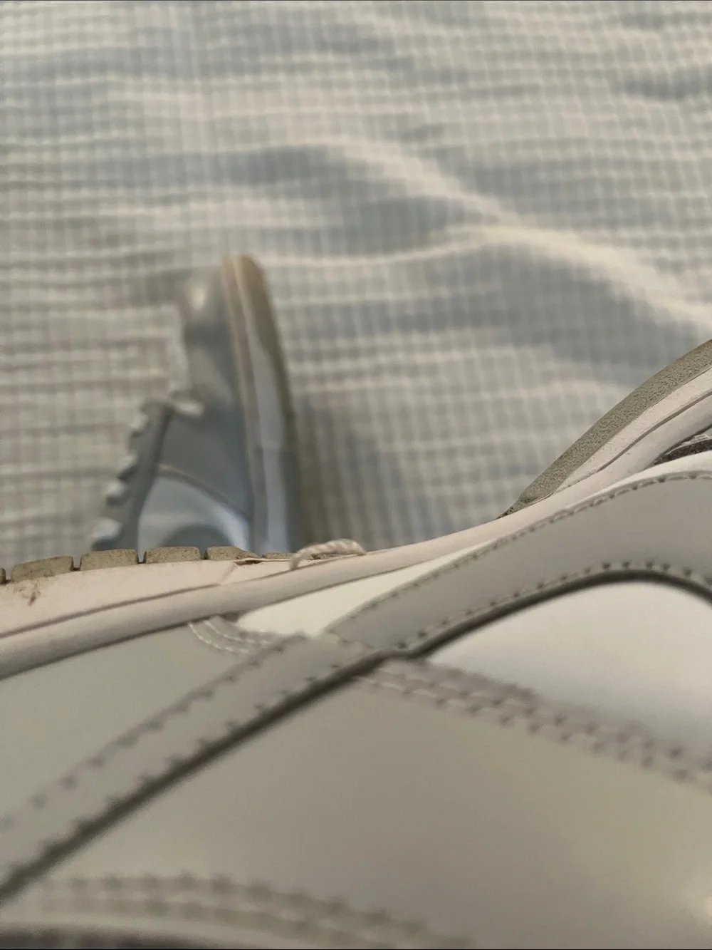 Nike Dunks White and Light Gray Athletic Sneakers